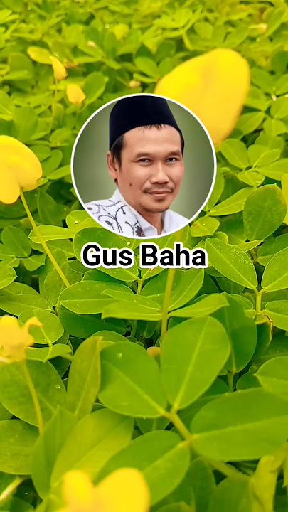 Jagalah aurat, Biar malaikat nggak lari dari rumah kita