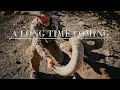 Nevada Desert Bighorn Sheep Hunt 2020 - "A Long Time Coming"