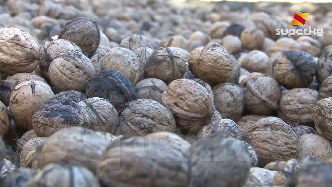 Киевтегі порно актрисалар