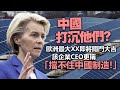 20240301A 中國打沉他們？歐洲最大XX即將關門大吉，該企業CEO更稱「擋不住中國制造！」