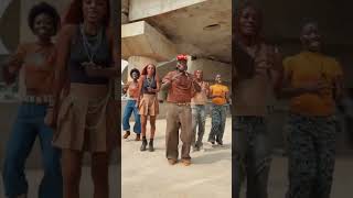 Marioo & D Voice -_- watu ( official dance video Thriller) Afro Julio Afrikana #dance #amapianotv