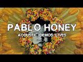 Radiohead  pablo honey 1993  acoustic demos  lives