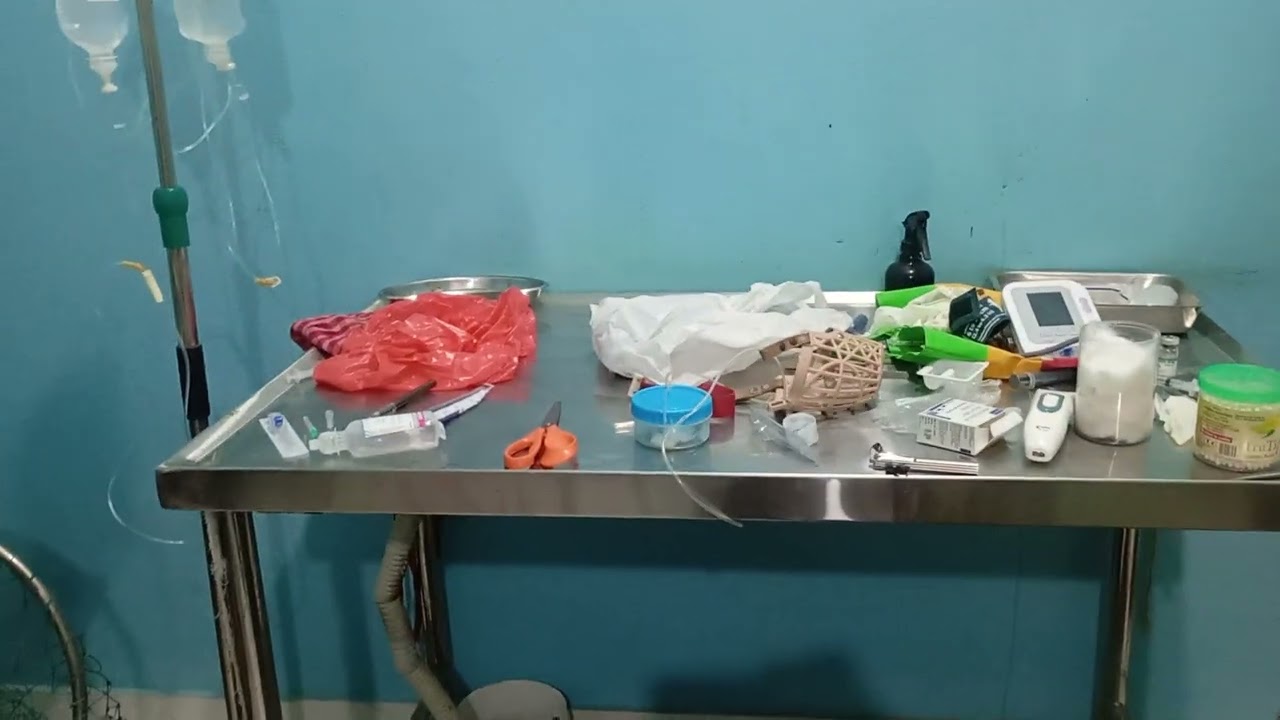 क्लिनिकमा स्विटीलाई सिलेन्ड लगाउँदै गरेको