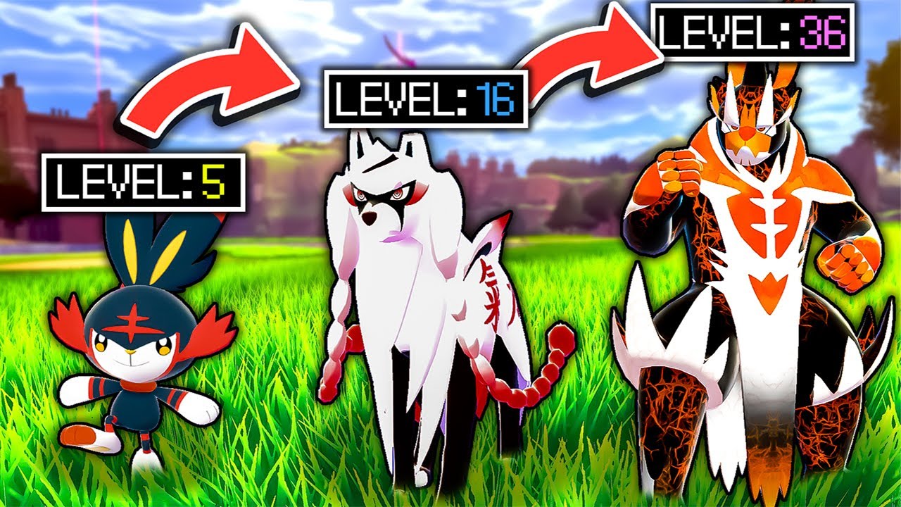 We Randomly Evolved Fake Pokemon, Then We Battle! - YouTube
