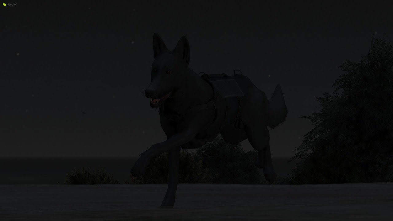 SA'F #116 | LEO Live, Axel Causing Chaos!