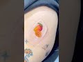 🥭 Mango Ink – Tươi sáng, nghịch ngợm vibe mùa hè ☀️  #Tattoo  #MangoTattoo  #MiniInk