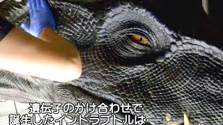 恐竜が生きてる!? 実物大！肌質が超リアル！／映画『ジュラシック・ワールド／炎の王国』特別映像