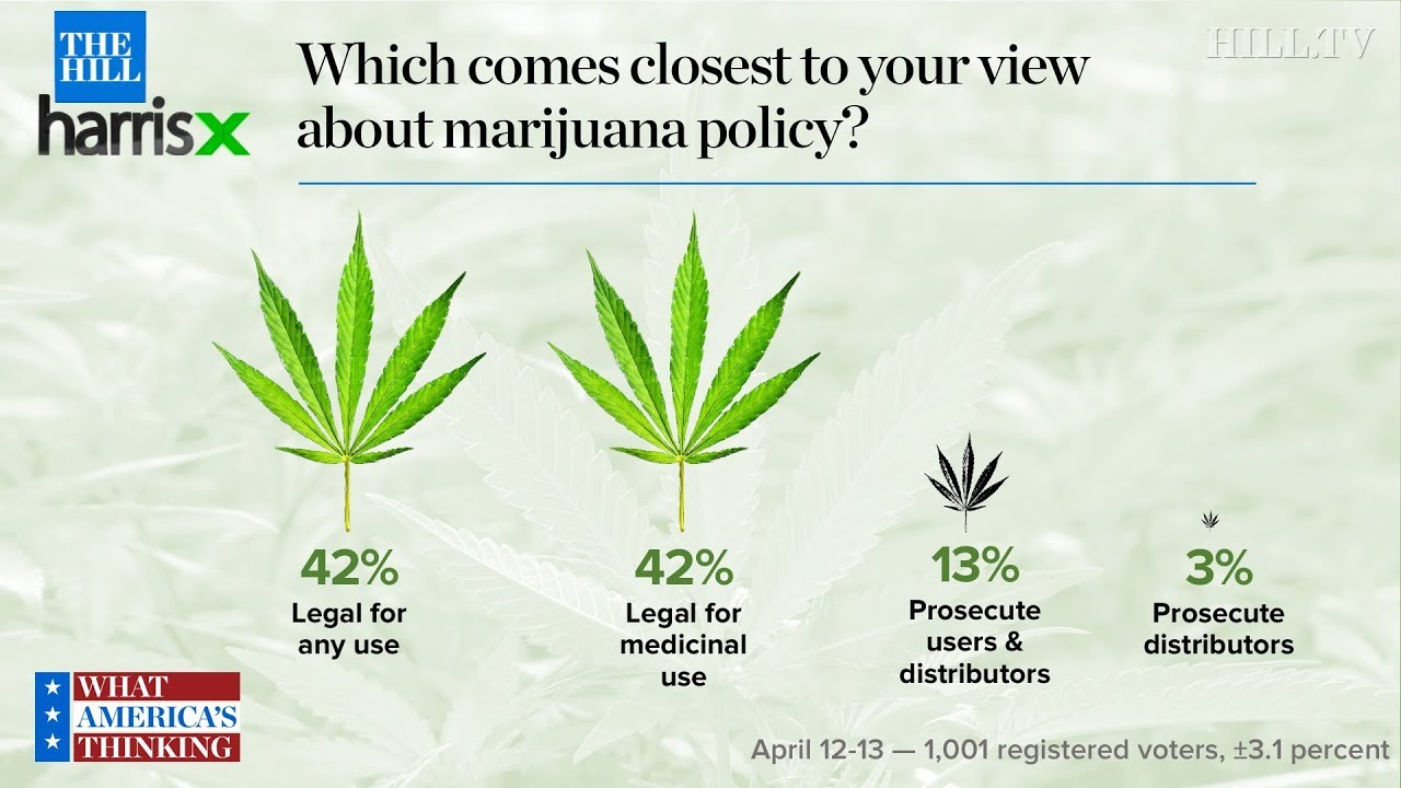 84 percent say marijuana use should be youtube should marijuana be legalized for medical purposes essay