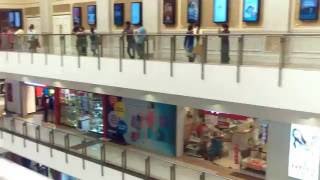 Chennai Palazzo 2016 screenshot 2