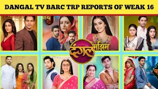 Dangal Tv Drama BARC TRP Ratting Reports of This Weak 16 in 2026