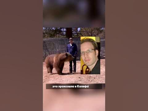 Нападение медведя на дрессировщика... #страх #история #медведь # ...