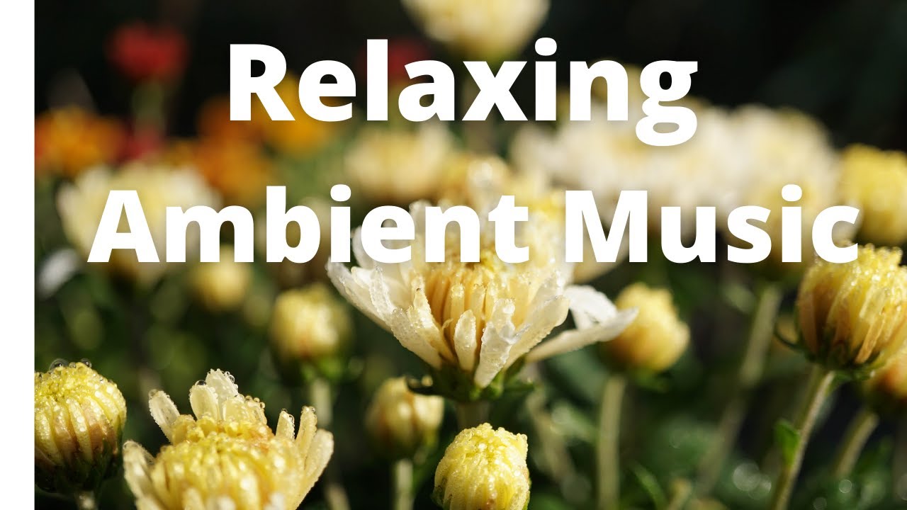 Peaceful Ambient Music with Autumn Nature Photo Slideshow