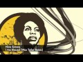 Nina Simone - I Am Blessed (Wax Tailor Remix)