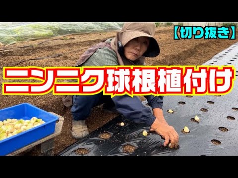 ハーちゃん農園♡ sddefault.jpg