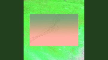 Modish Ambiance for Lazy Blues