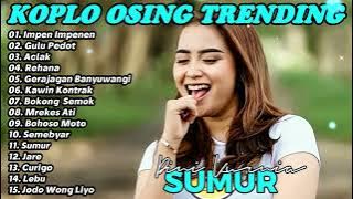 DINI KURNIA - IMPEN IMPENEN, GULU PEDOT, ACLAK - FULL ALBUM LAGU OSING BANYUWANGI VIRAL TERLARIS