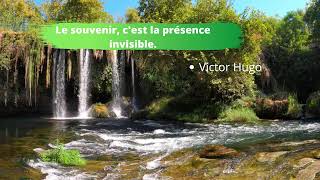Musique Relax Musique Libre De Droit Avec Citations