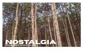 NOSTALGIA | Chillstep + Chillwave Mix