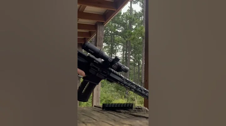 AR15 Franklin Armory Binary Trigger