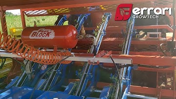 Ferrari Fastblock Transplanter – fennel transplanting