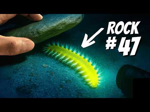 I Flipped 100 Rocks On The Ocean Floor At Midnight 