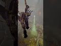 IF I GET BURNT Warframe Vauban GAMEPLAY MUSIC VIDEO | 🪨⭐️🦏