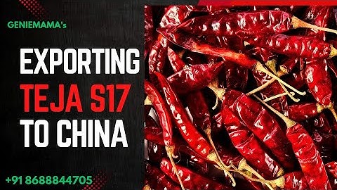 GENIEMAMA Exporting Dry Red chilli #tejas17 To China 🌶️ #export #geniemama #redchilli #china #india