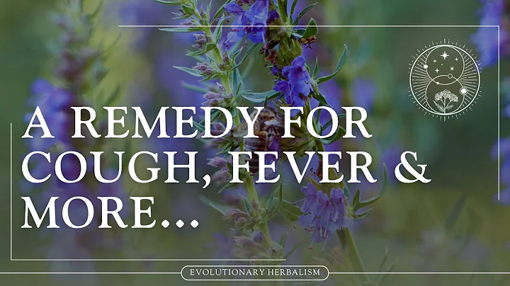 The Actions of Hyssop