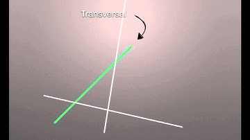 Transversal - Parallel Lines
