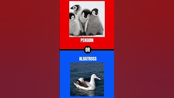 can you decide? comment down below your answers #wouldyourather #challenge #shorts