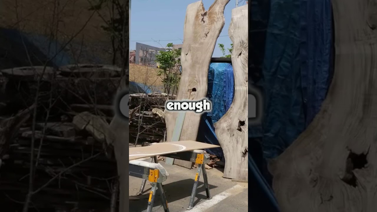 AFTER THE GROUP TRIP, I FOUND A $12,000 CHARGE ON MY CARD. MY SISTER SAID, 'IT WAS FOR THE 