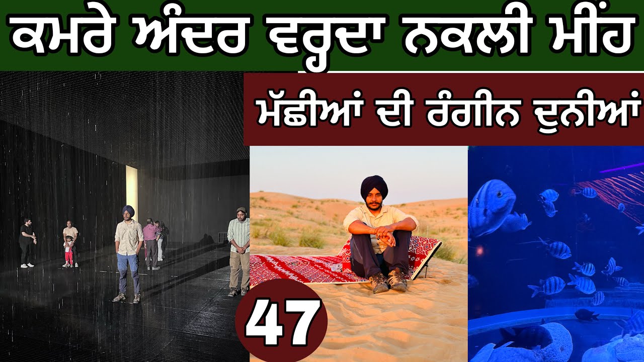 Rain in Room। 🌧️ Biggest Fish Aquarium 🐟 । 🌵 ।Day-47