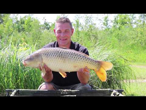 Method Feeder Tactics for Big Carp