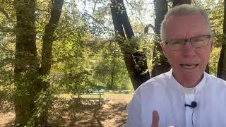 The rise of authentic human communities: thescaffold.substack.com