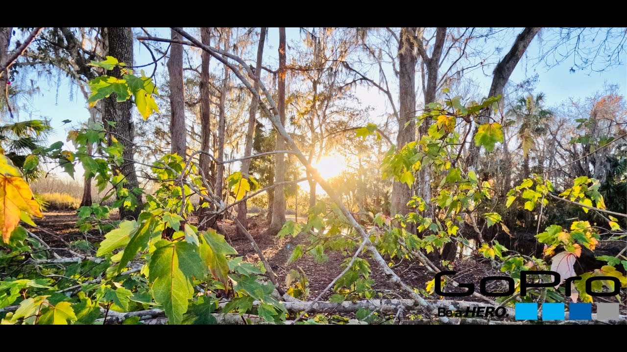 GoPro 11 (10Bit) 5K Cine Video