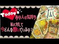 【Today's】今どんな想いでいるの？あの人の気持ち♥毎日ルーティン♥恋愛タロット占い
