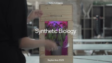 Master in Design for Emergent Futures - Elisava