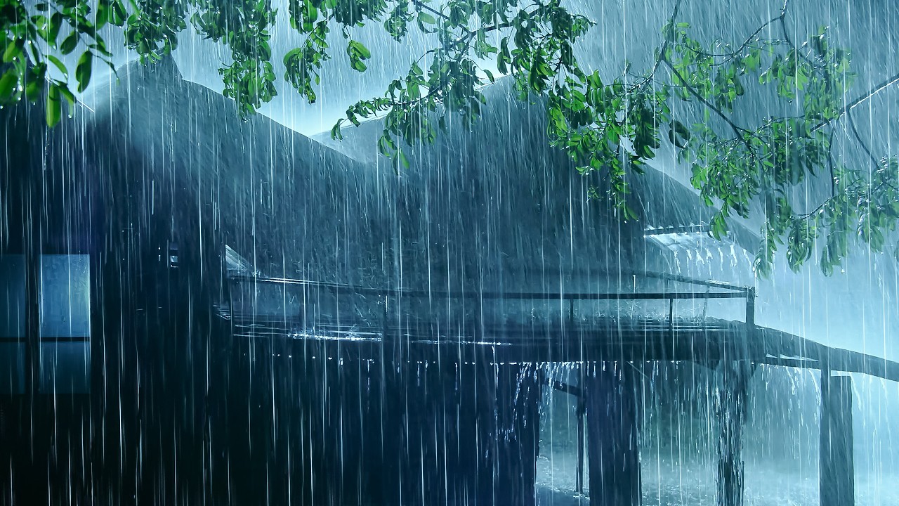 The BEST Rain Sounds to Fall Asleep Quickly | Extremely Heavy Rain & Gentle Thunder at Night