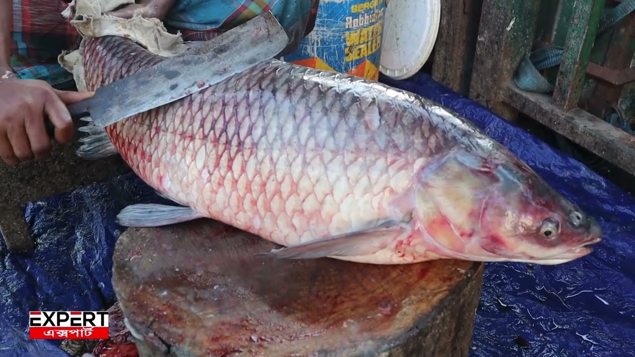 Unique Fish Cleaning Skills # 15kg Rui fish Cutting By Expert Fish Cutter 2022