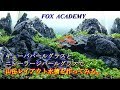 No.011 【FOX ACADEMY】キューバパールグラスとニューラージパールグラスで山岳レイアウトを作ってみる。