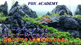 No 011 Fox Academy キューバパールグラスとニューラージパールグラスで山岳レイアウトを作ってみる Youtube