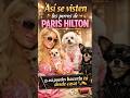 Why Paris Hilton's Dog Fashion Tips Are Genius