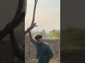 SVSC... #love#trending#dance#lovestatus#song #lovesong#seethammavakitlosirimallechettu#maheshbabu