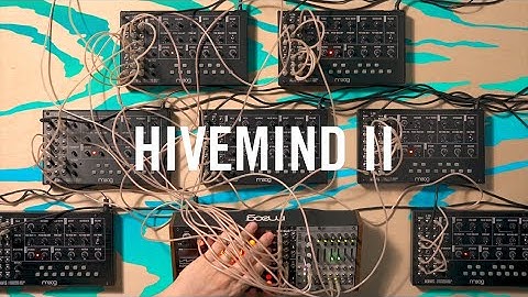 Moog Mavis | Hivemind II