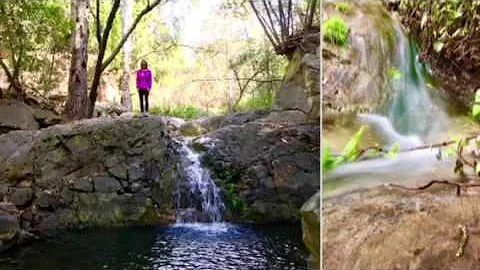 Hike at Cold Springs Trail Santa Barbara