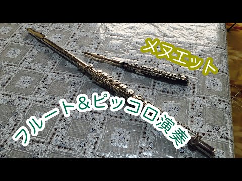【フルート＆ピッコロアンサンブル】フルート＆ピッコロ演奏vlogメヌエット