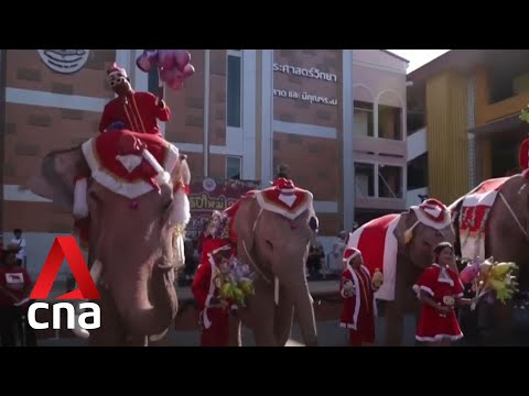 Elephants dressed as Santas delight schoolchildren in Thailand