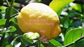Peter Paul & May - Lemon Tree Lyrics chords
