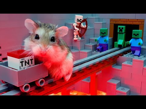 He Tricked Me Into Buying Two LEGO Minecraft Sets. 