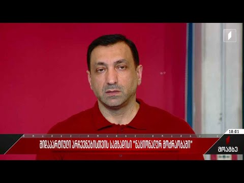 შიდაპარტიული არჩევნებისთვის სამზადისი „ნაციონალურ მოძრაობაში“